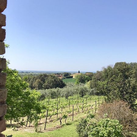 Вилла Agriturismo La Leccia Биббона Экстерьер фото