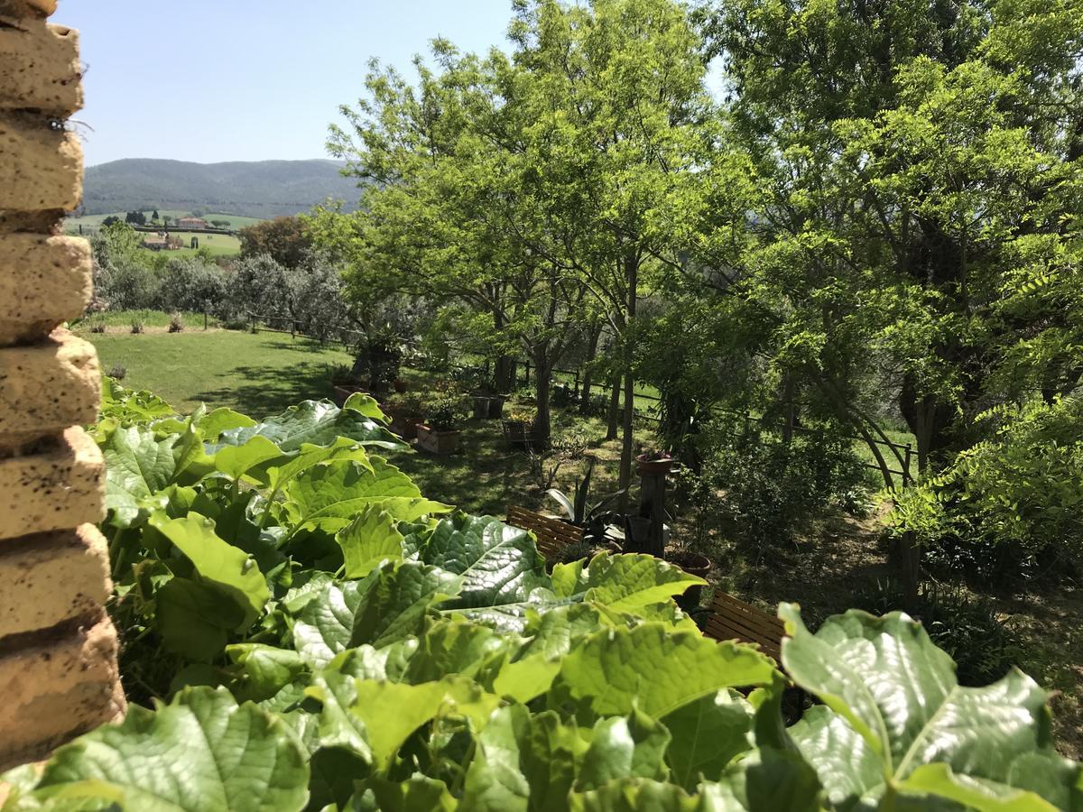 Вилла Agriturismo La Leccia Биббона Экстерьер фото